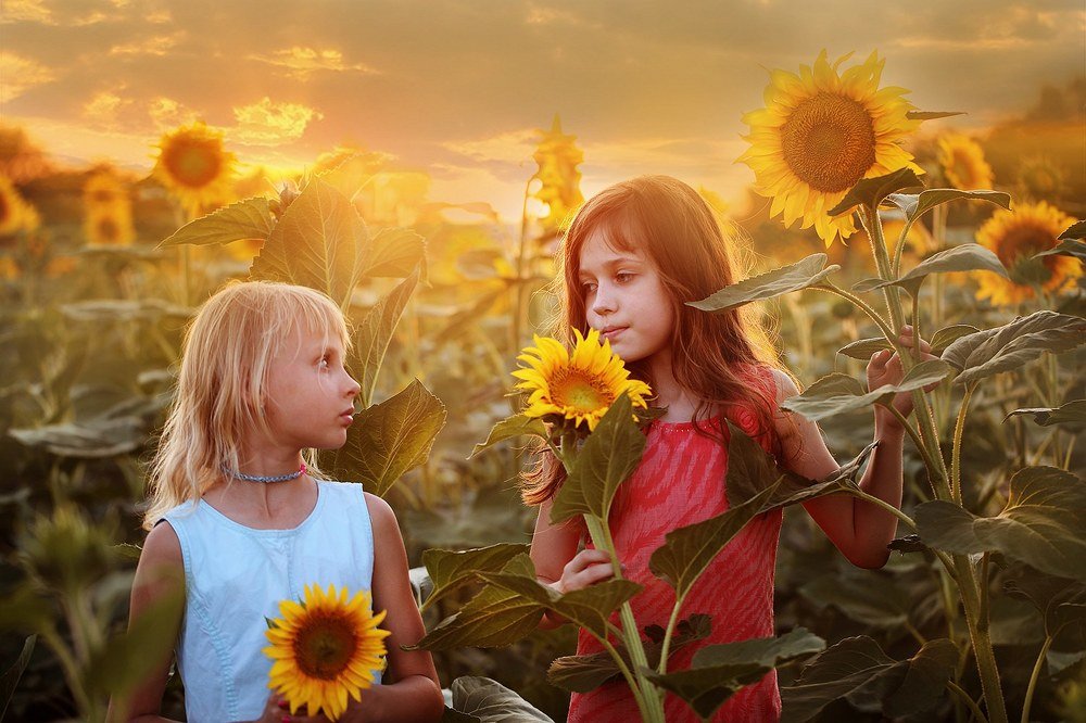 Photograph by Марина Володько