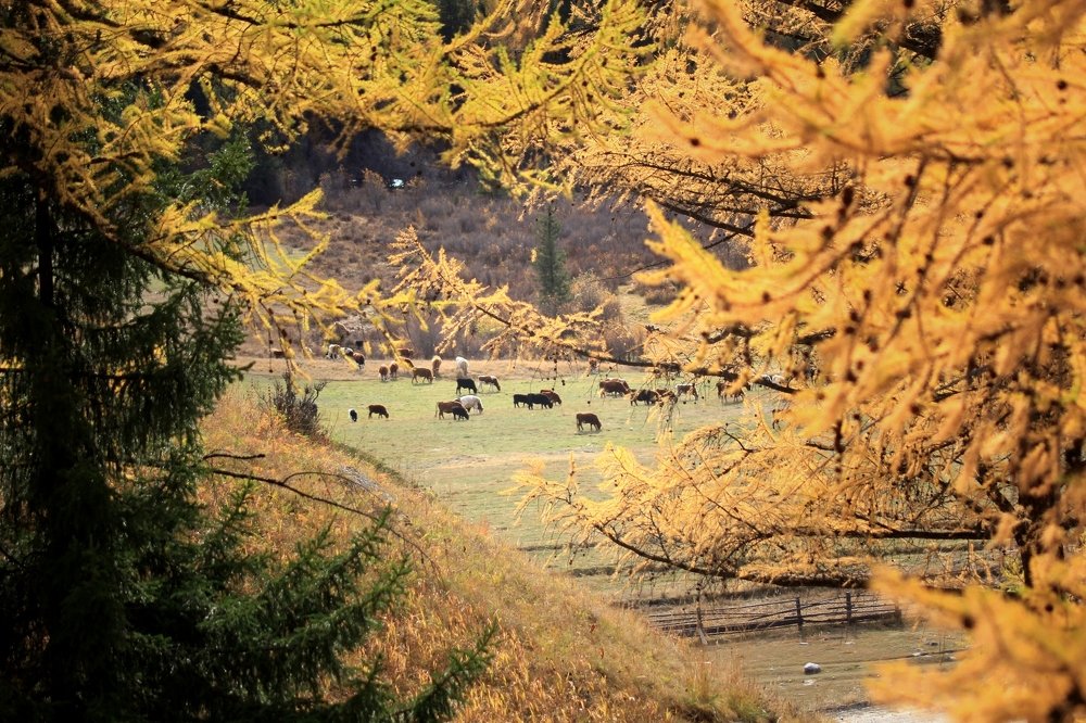 Фотография автора Елена