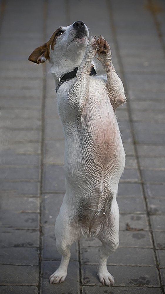 Photograph by Евгений Барзенков