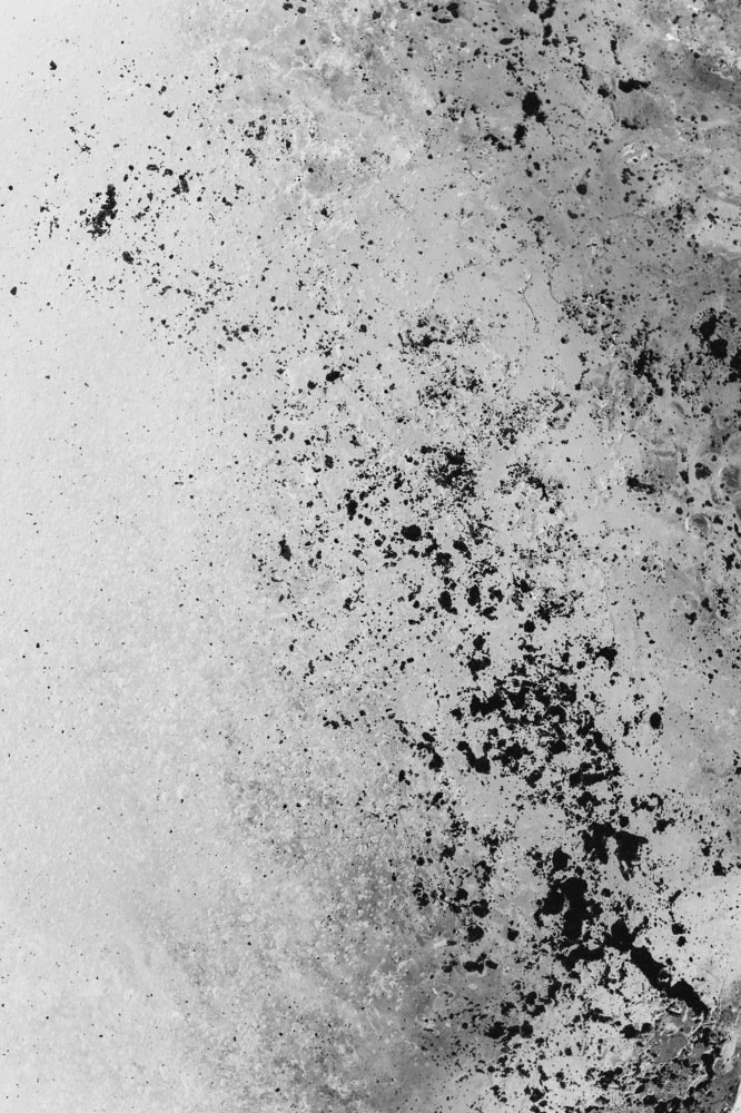 Photograph by Юлия Плотникова