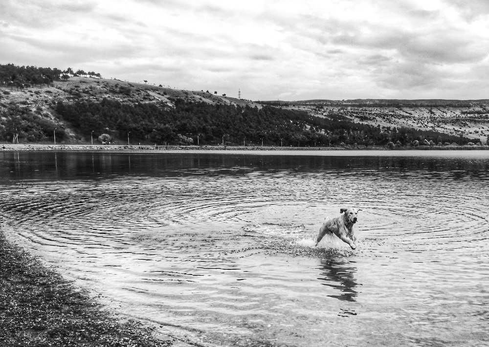 Фотография автора Sordia Tako