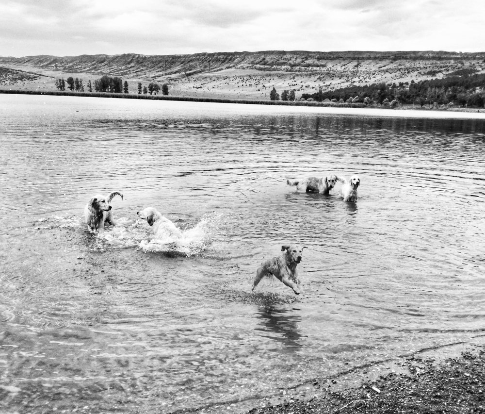 Фотография автора Sordia Tako