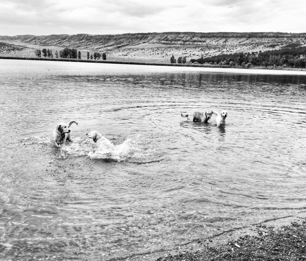 Фотография автора Sordia Tako