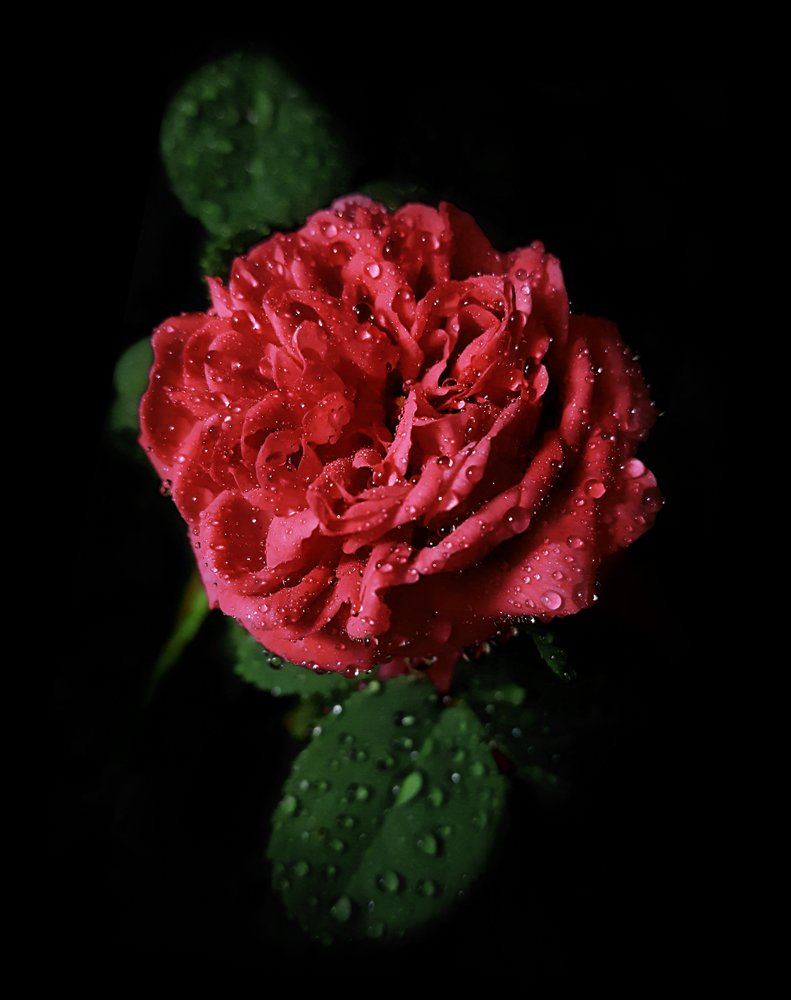 Photograph by Mohammad Dadsetan