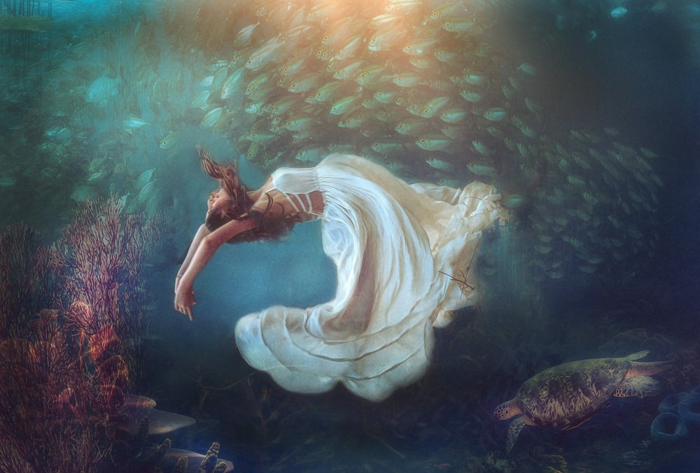 Dance With Sea World