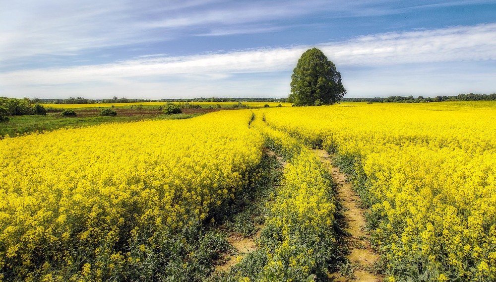 Photograph by Павел Дунюшкин