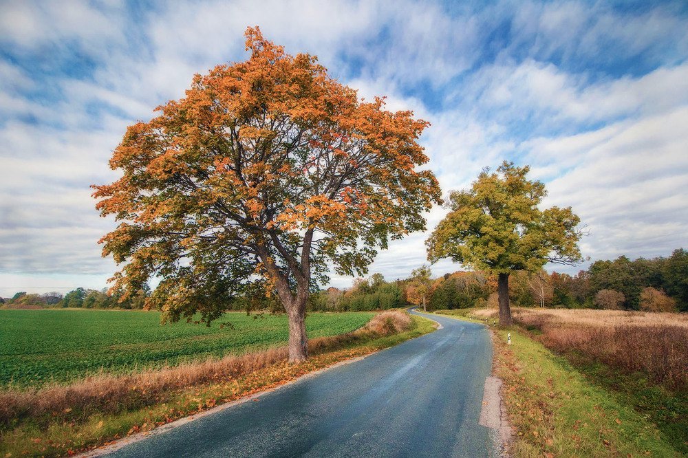 Осенняя дорога