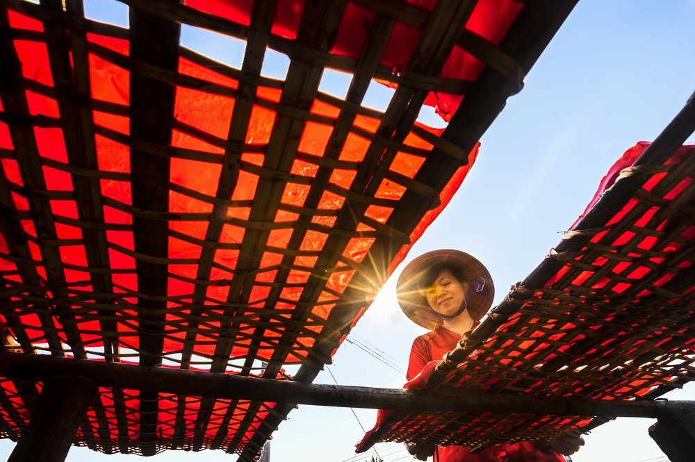 Фотография автора Hong Mai Duong