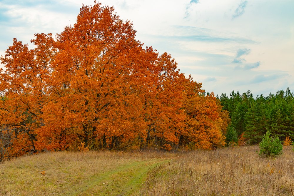Photograph by Роман Дергунов