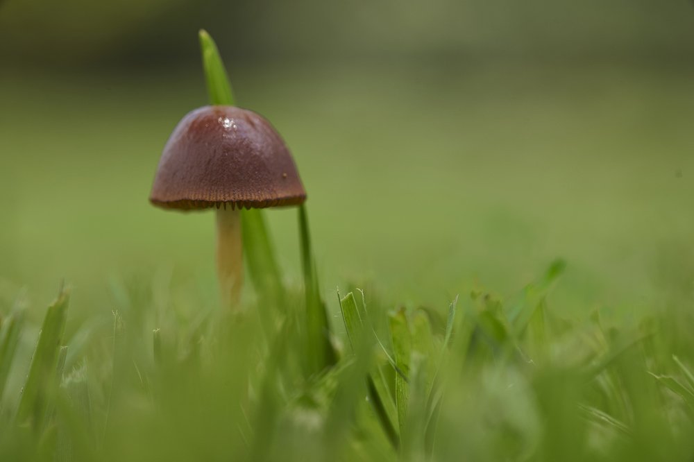 Photograph by German Dario Escobar Alvarez