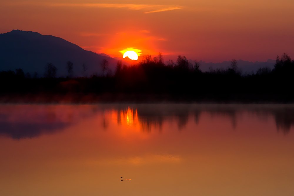 Photograph by Олег Тетерин