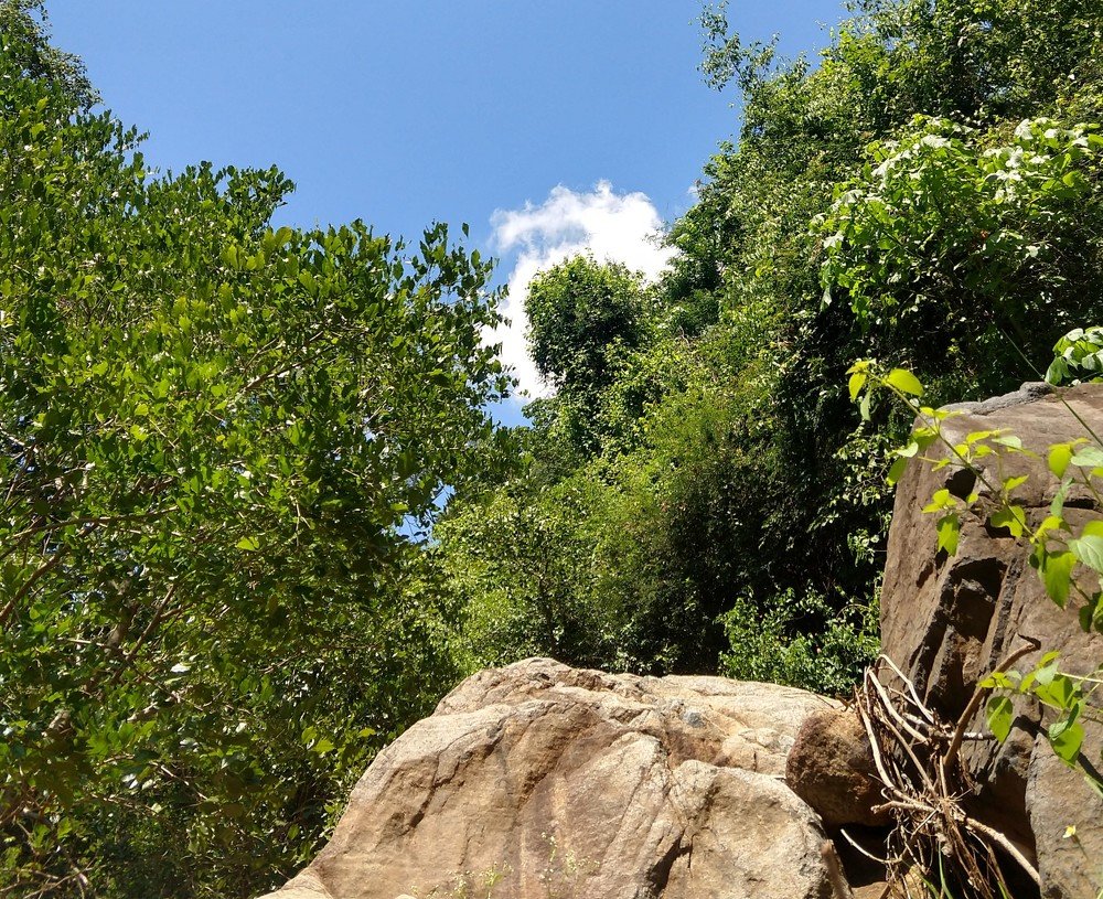 Greeny with clouds