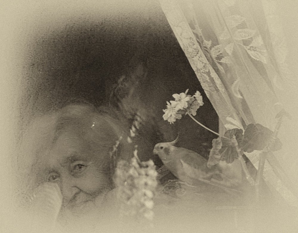 Photograph by Роман Савоцкий