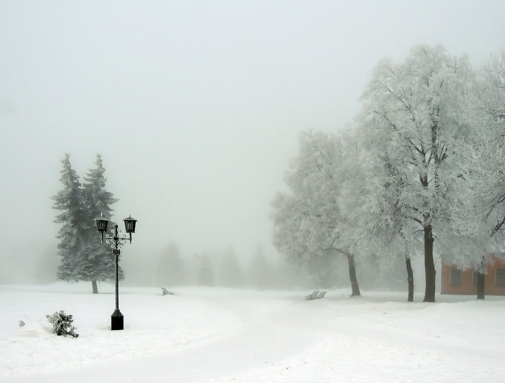 Photograph by Роман Савоцкий