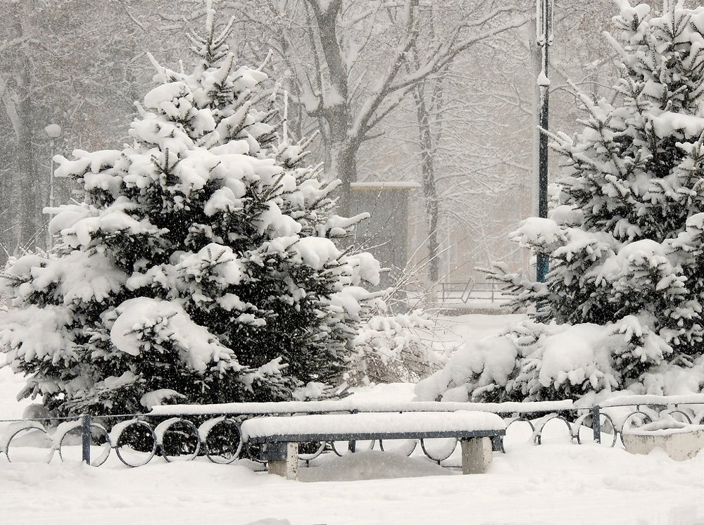 Photograph by Роман Савоцкий