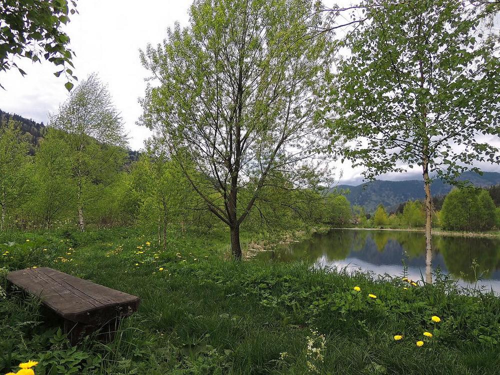 Photograph by Роман Савоцкий