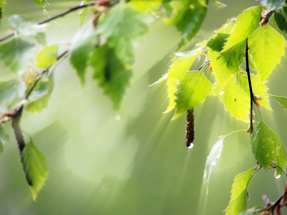 Photograph by Роман Савоцкий