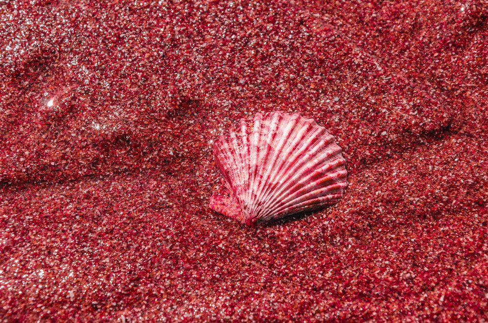 Photograph by Fernando Sileo