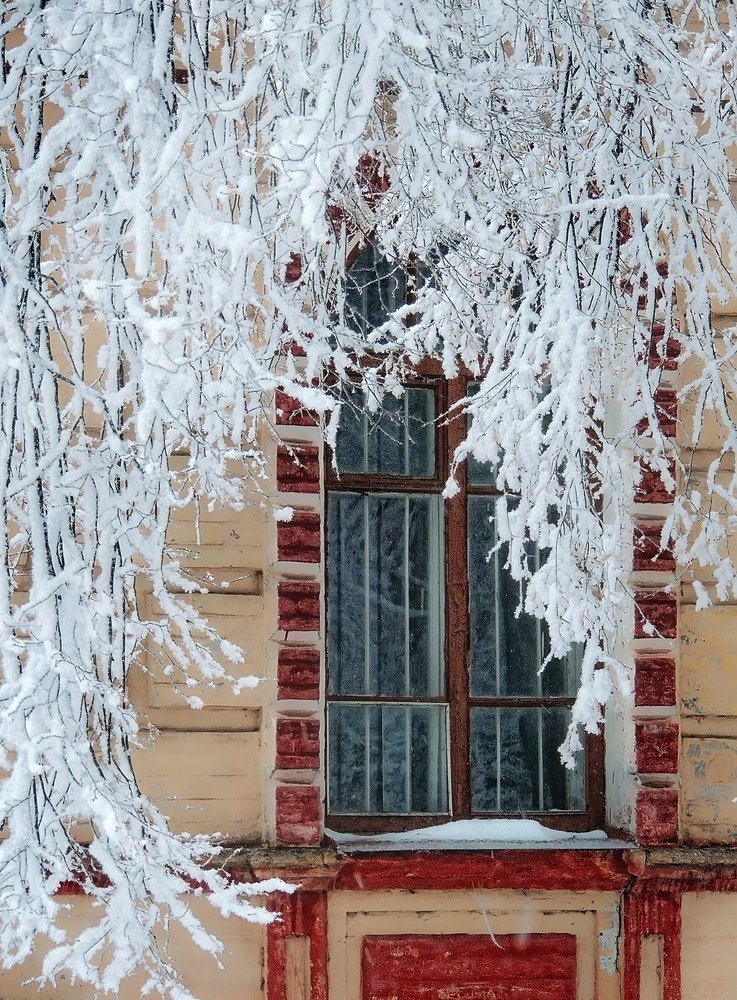 Фотография автора Роман Савоцкий