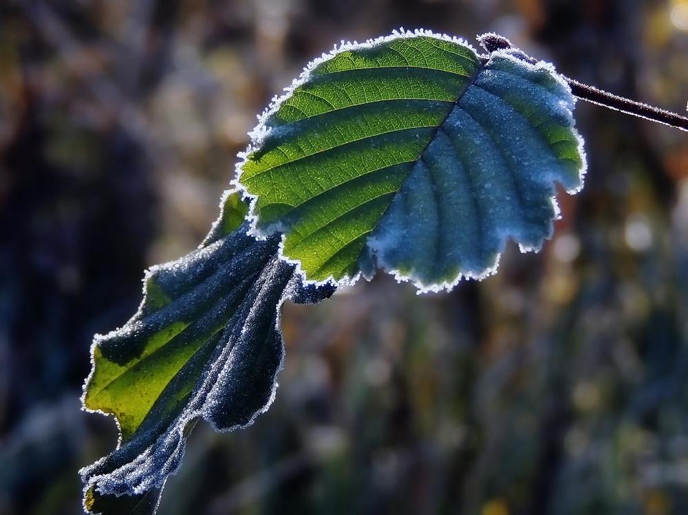 Фотография автора Роман Савоцкий