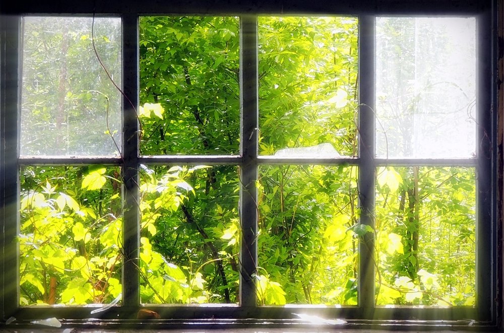 Фотография автора Роман Савоцкий