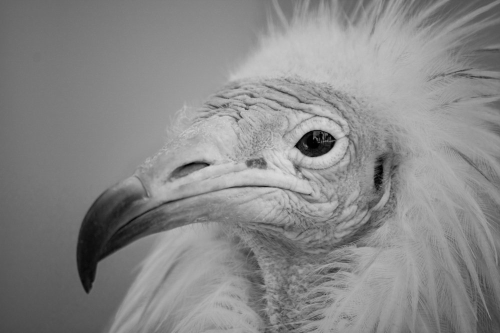 Photograph by Javad Allahyari