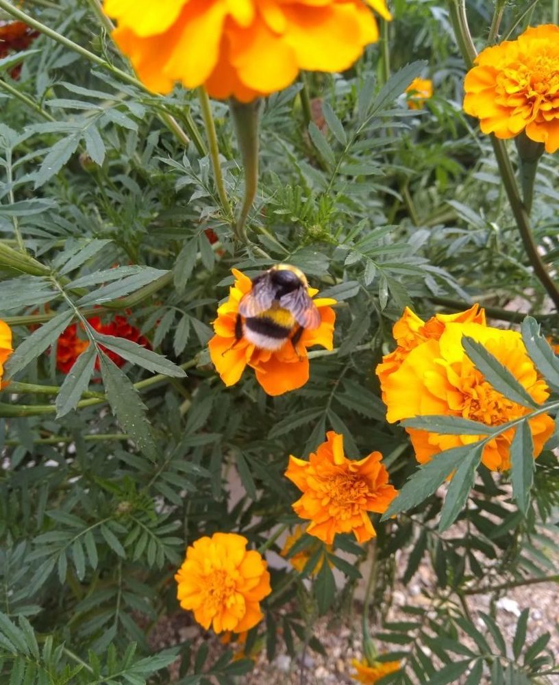 Photograph by Татьяна Бродовикова