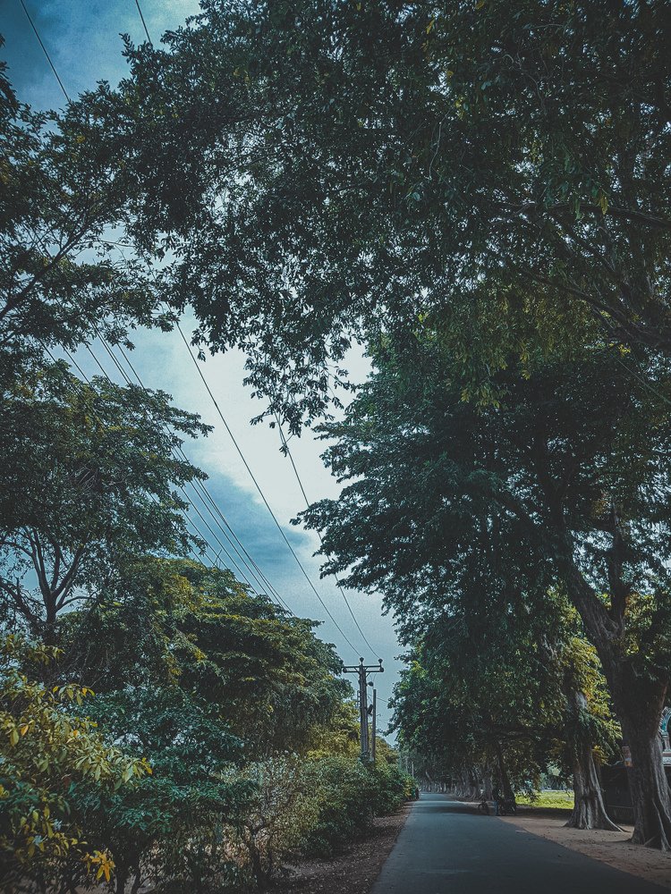 Photograph by KUNASEKARAN DAYANUJAN