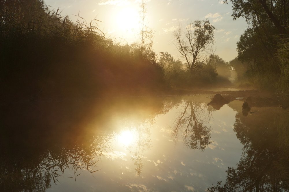 Photograph by Анастасия Шайдорова