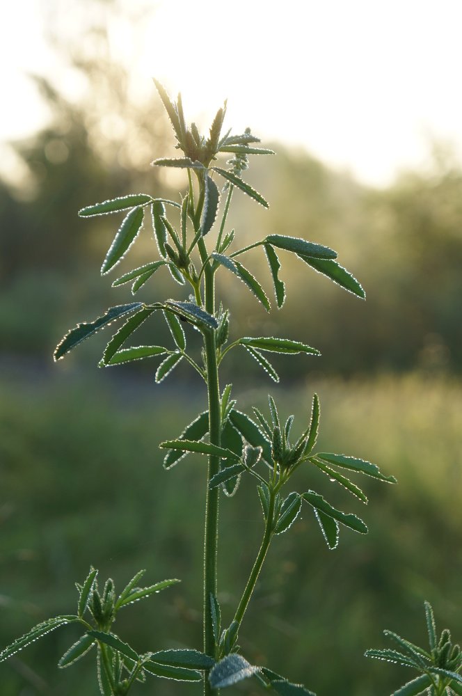 Photograph by Анастасия Шайдорова
