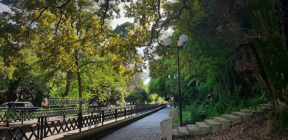 Photograph by Алина Веремеенко