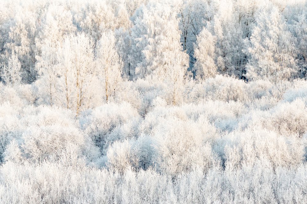 Фотография автора Панагушин Сергей