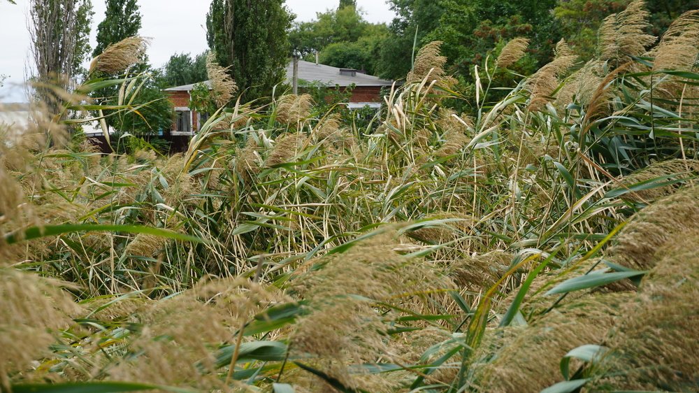 Photograph by Аркадий Смирнов