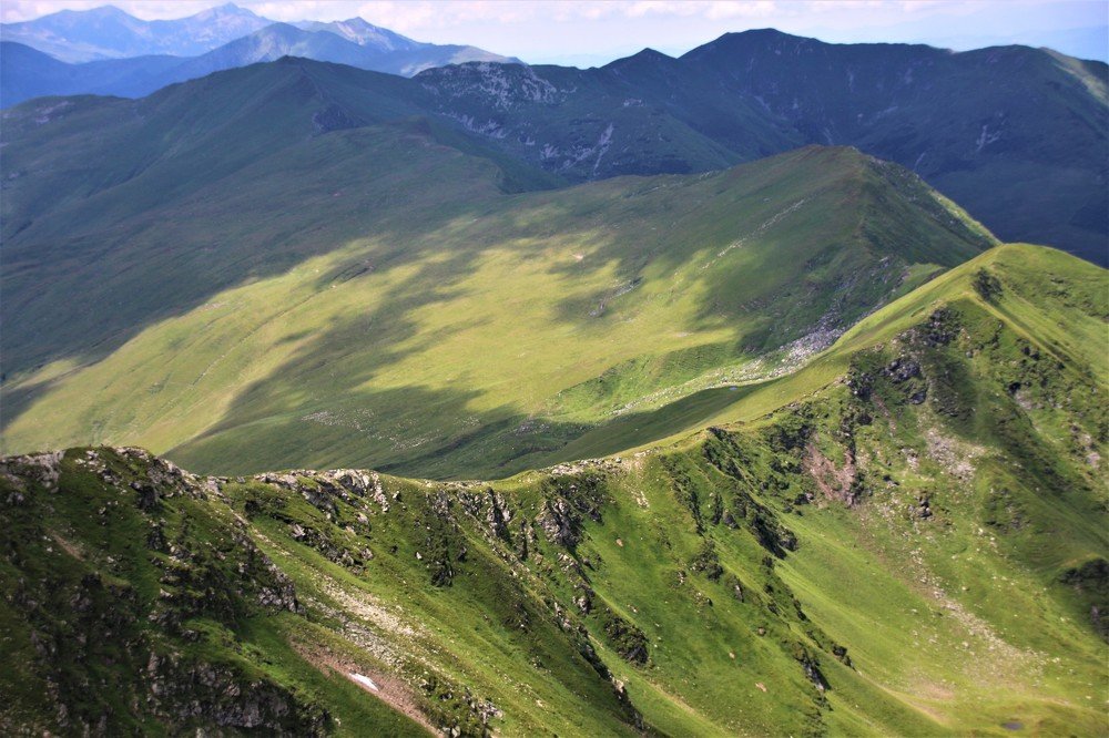 Photograph by Dinel Teodorescu