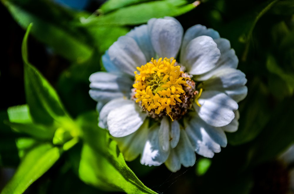 Photograph by Виктория Чушкина