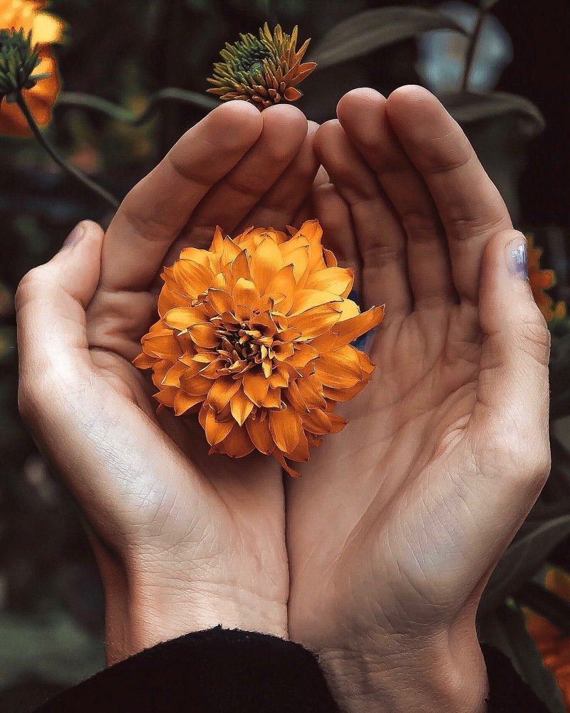 Photograph by Екатерина