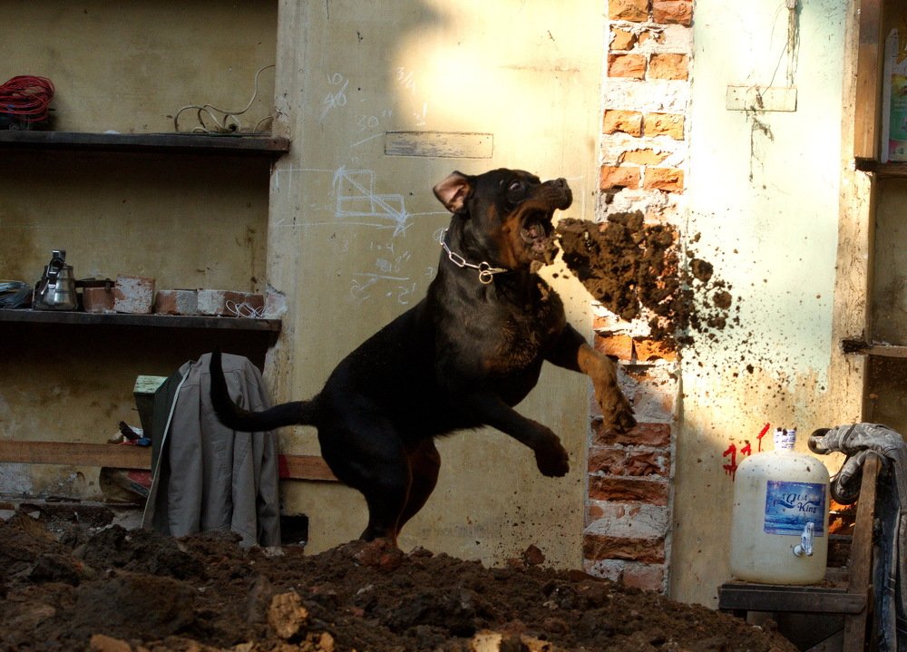 Photograph by Aung Kyaw Soe