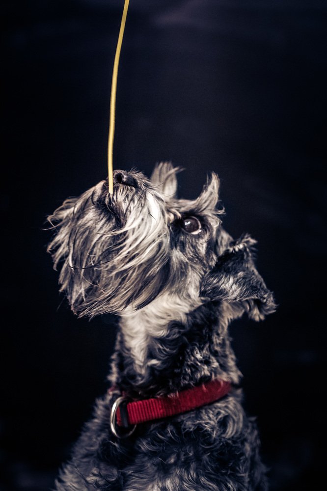 Photograph by Алла Вовк