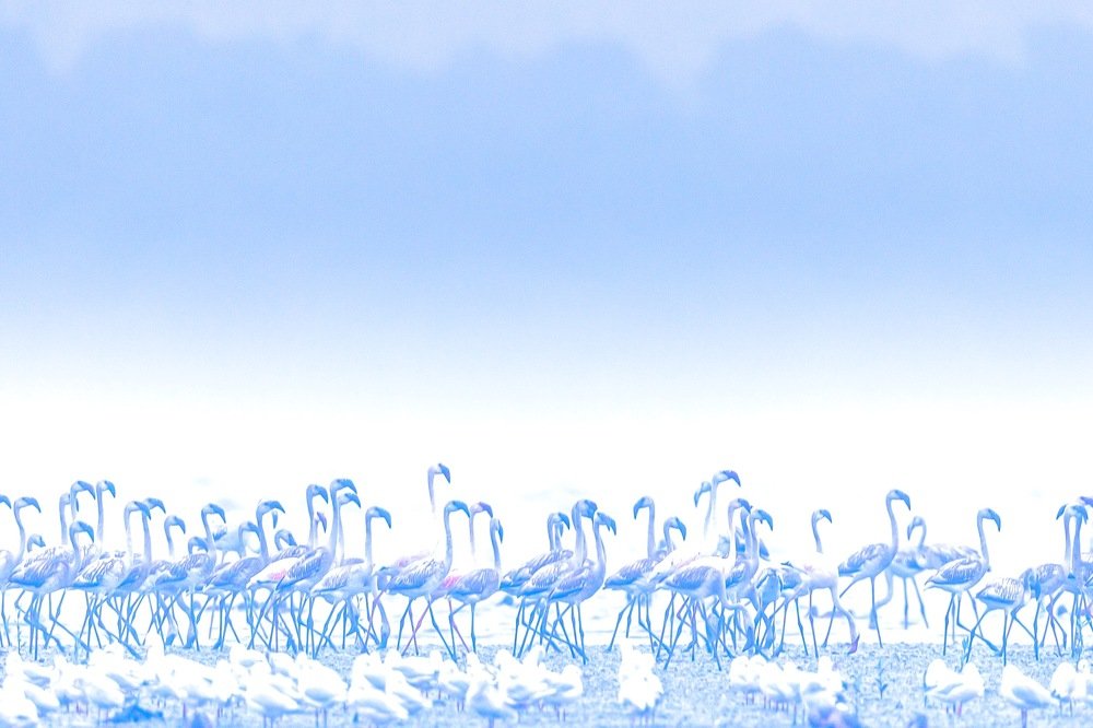 Photograph by Lionel falcao