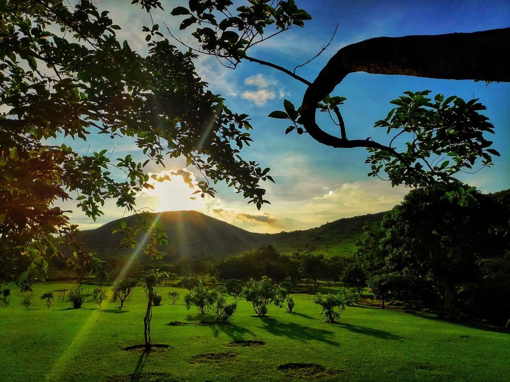 A day in the lap of nature.