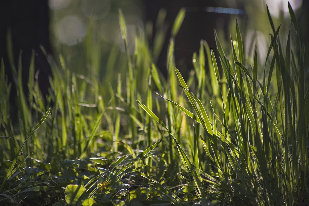 Photograph by Евгений Лимонтов