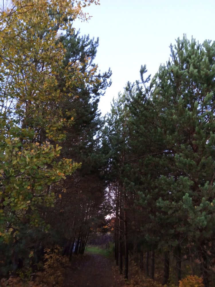 Photograph by Татьяна Перепелкина