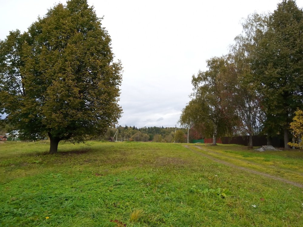 Photograph by Татьяна Перепелкина