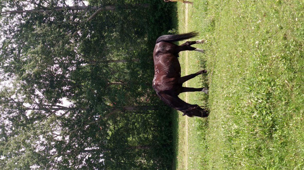 Photo #3716138