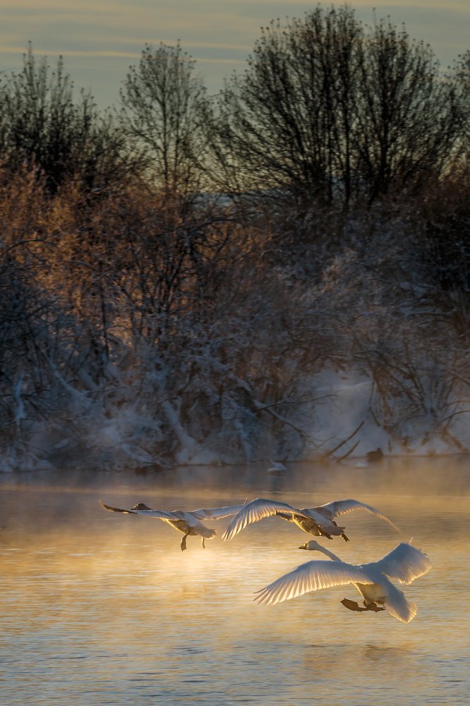 Photograph by Евгений Кожевников