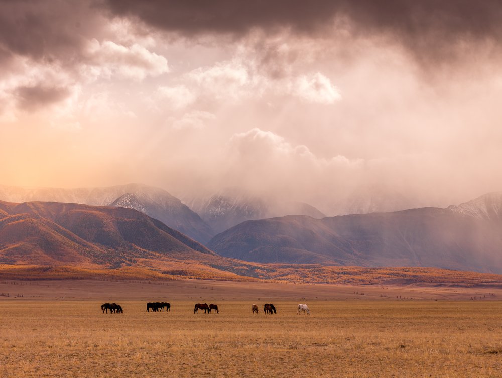 Photograph by Евгений Кожевников