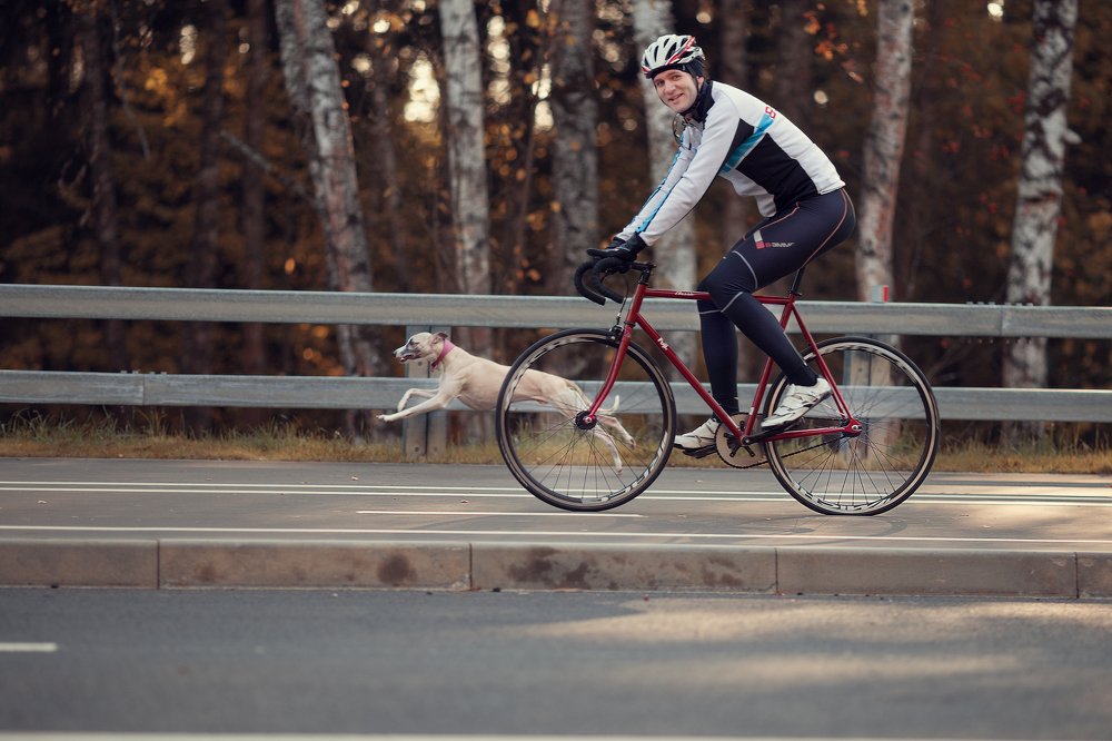 Photograph by Александра Дуке