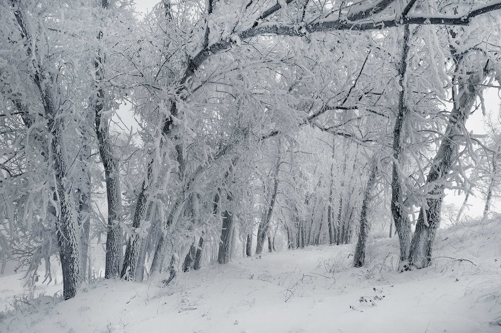 Photograph by Олег Тетерин