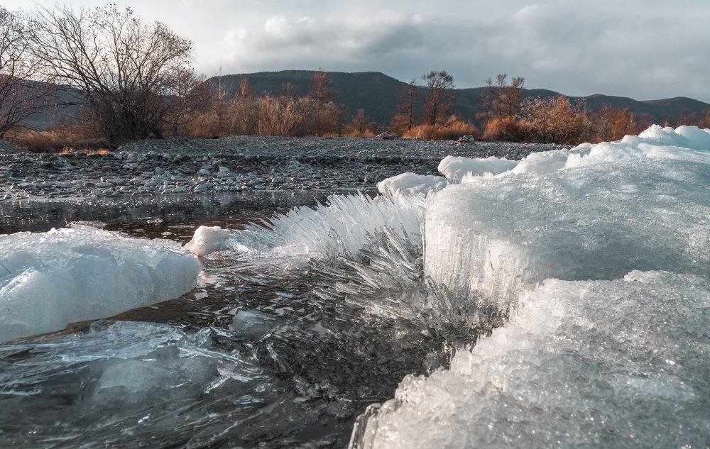 Photograph by Natali Burmeyster