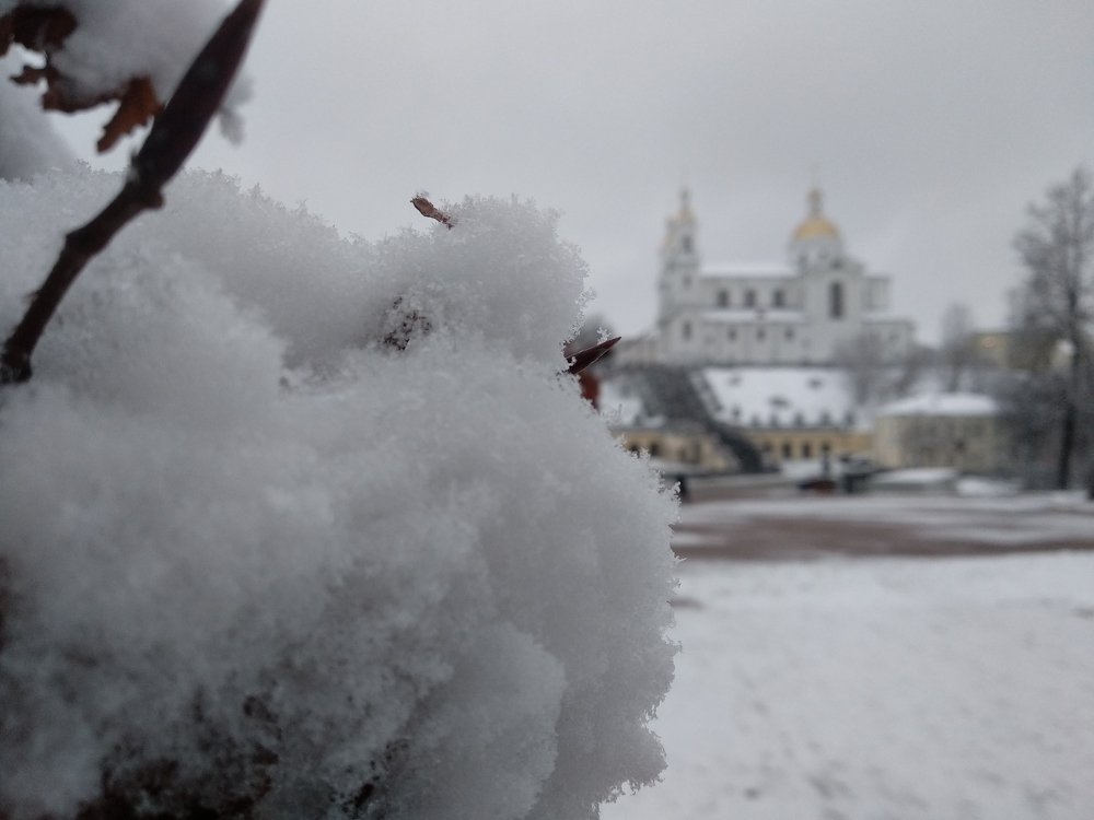 Фотография автора Ян Пчельников